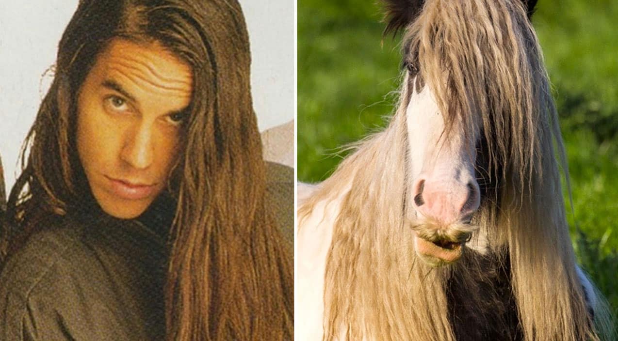 10 Animals That Totally Look Like Your Favorite Rock Legends