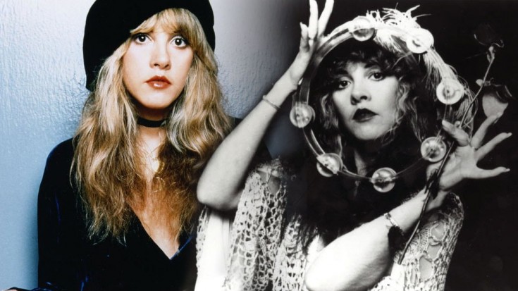 Stevie Nicks- Gold Dust Woman | Society Of Rock Videos
