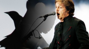 Paul McCartney – ‘Blackbird’ Live at Glastonbury!