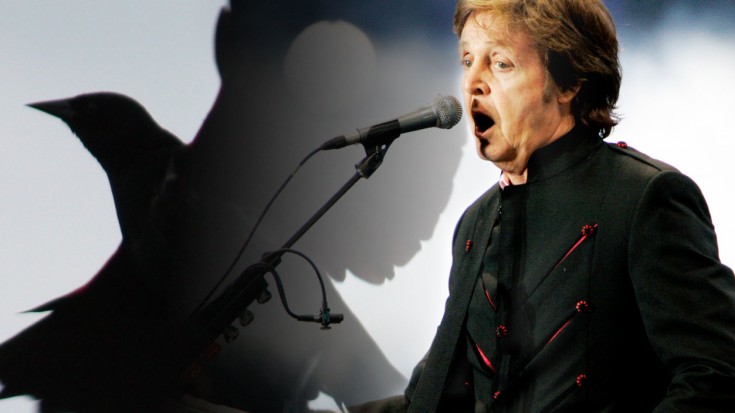 Paul McCartney – ‘Blackbird’ Live at Glastonbury! | Society Of Rock Videos