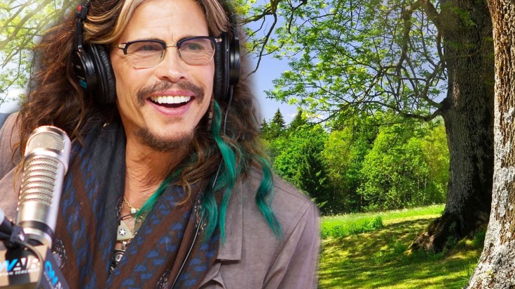 Steven Tyler Dishes On His Love Of Nature! | Society Of Rock Videos
