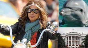 13 Things You Didn’t Know About Steven Tyler