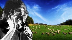Only True Fans Will Recognize This Rare, Early Version Of Pink Floyd’s “Sheep”, Do You?