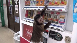 This Monkey Wanted Grape Juice, So He Did This