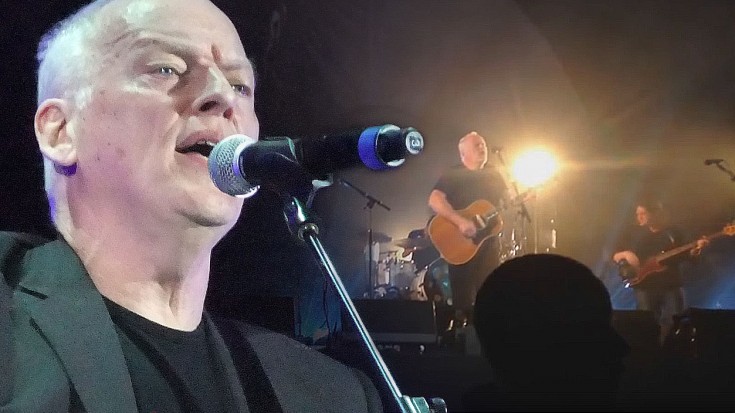 David Gilmour Crashes Concert, Starts Playing “Wish You Were Here” | Society Of Rock Videos