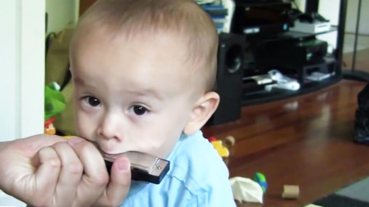 Baby Tries To Play Harmonica With His Dad, And It Will Have You Rolling On The Floor | Society Of Rock Videos