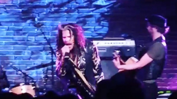 Steven Tyler Spotted In Nashville Bar Singing New Country Song | Society Of Rock Videos
