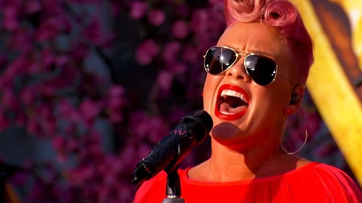 Flashback: P!nk Performs “White Rabbit” Jefferson Airplane | Society Of Rock Videos