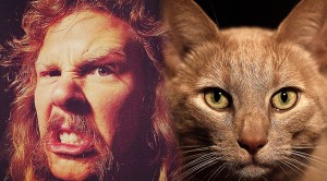 Metallica Get Cat-tastic Make-Over In This Purrfect Parody!