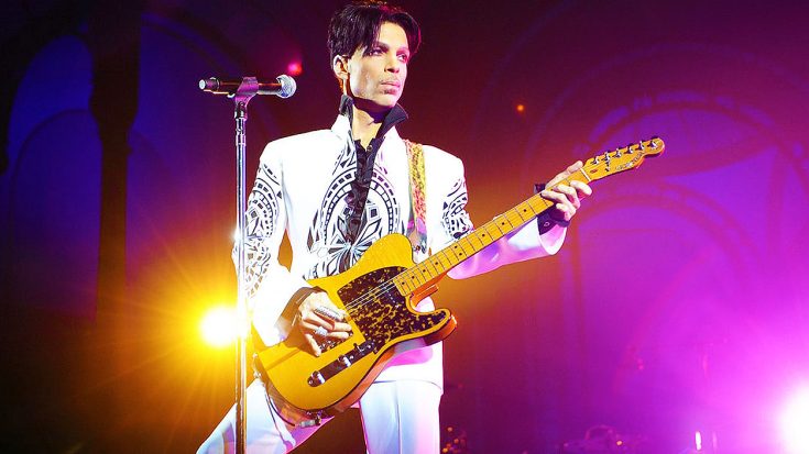 Prince’s Family Is Finally Opening The Doors To The Artist’s Private Life By… | Society Of Rock Videos
