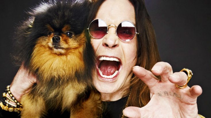 9 Outrageous Ozzy Moments That Made You Shake Your Head And Ask, “Why?” | Society Of Rock Videos