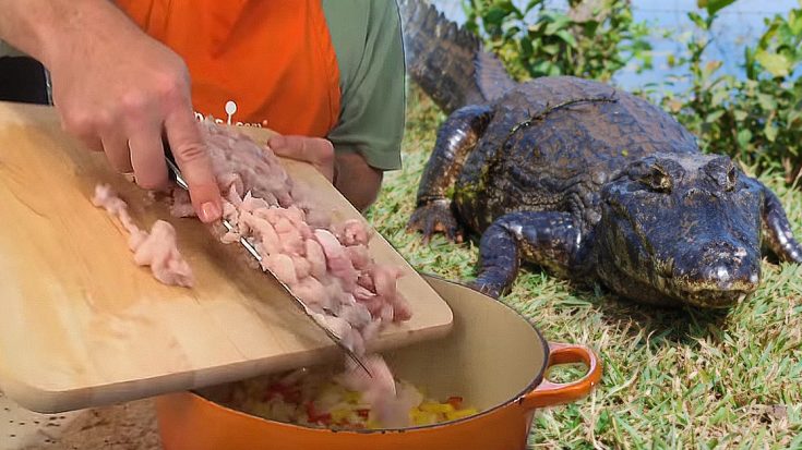 This Alligator Chili Is So Bowl-Lickin’ Good, You’ll Never Want To Eat Anything Else | Society Of Rock Videos