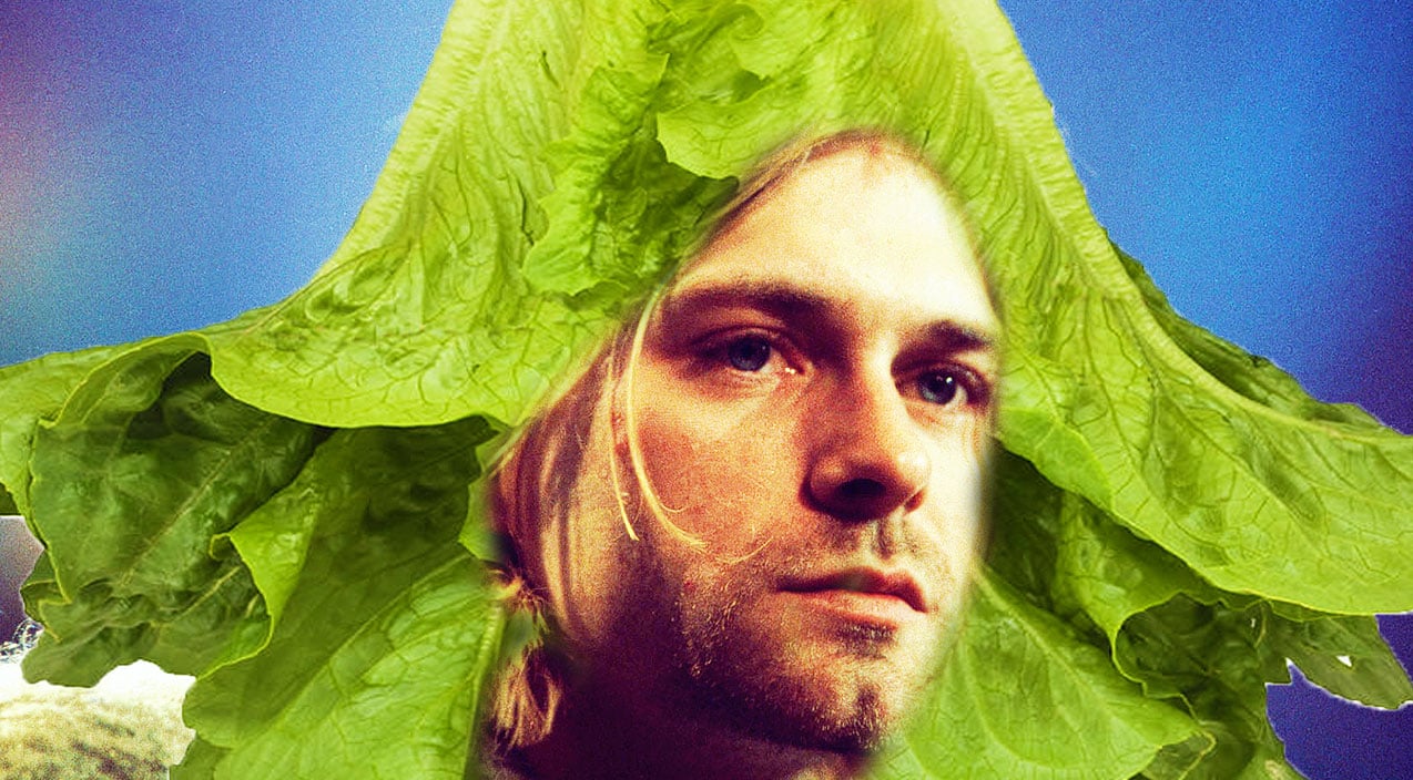 kurt-romain-lettuce