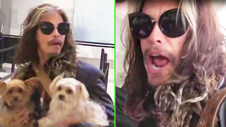 Fan Asks Steven Tyler About Retirement, And He Gives An Answer No One Was Expecting! | Society Of Rock Videos