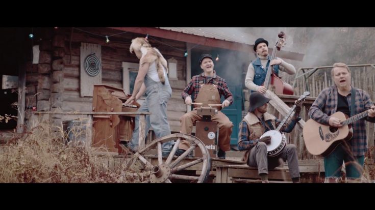 The Unlikely Journey of Steve ‘n’ Seagulls Through Bluegrass | Society Of Rock Videos
