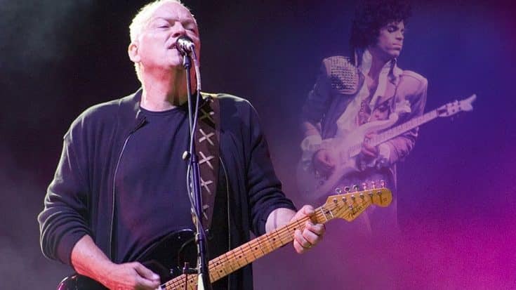 David Gilmour Lets His Guitar Do The Talking In Our All Time Favorite Tribute To Prince | Society Of Rock Videos