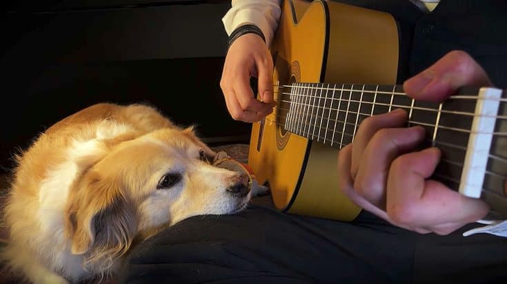 There’s Nothing Cuter Than This Guy Playing “Space Oddity” For His Dog, I Promise You | Society Of Rock Videos