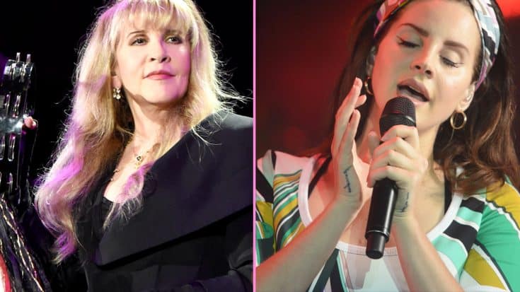 Stevie Nicks Joins Lana Del Rey For Hazy New Duet, And It’s Nothing Short Of Pure Magic | Society Of Rock Videos