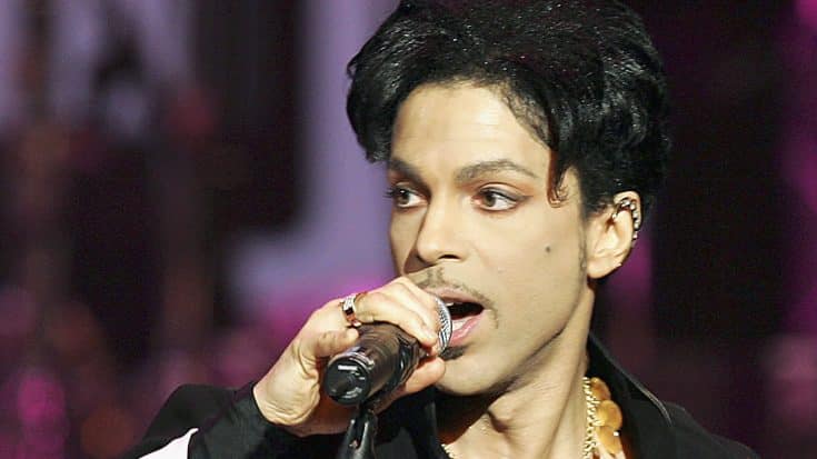 A Plethora of Prince- His Estate’s Release of Music Videos | Society Of Rock Videos