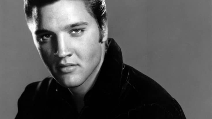 The Crazy Amount Of Money Someone Paid For Elvis’ Hair | Society Of Rock Videos