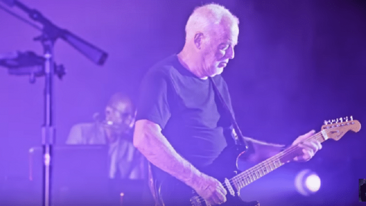 Buyer Of David Gilmour’s Guitar Revealed | Society Of Rock Videos