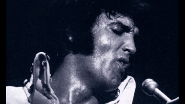 We Relive Non-Single Tracks By Elvis Presley | Society Of Rock Videos
