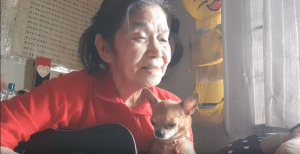 Grandma And Her Chihuahua Are Back With “Ob la di Ob la da” By The Beatles Cover