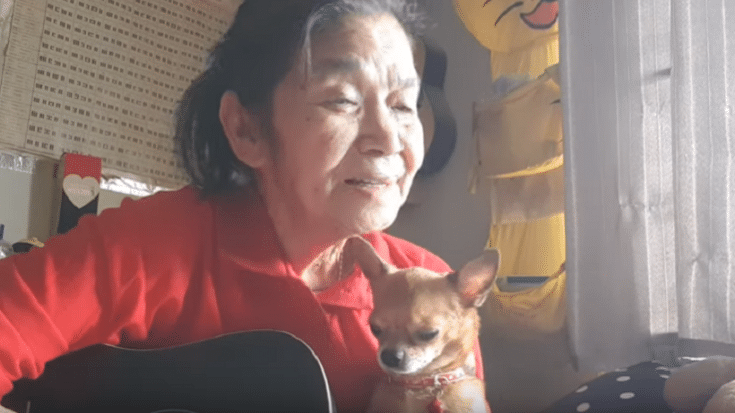Grandma And Her Chihuahua Are Back With “Ob la di Ob la da” By The Beatles Cover | Society Of Rock Videos