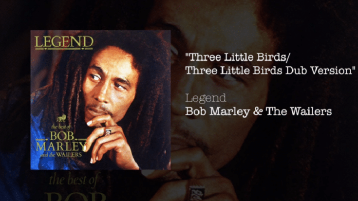 7 Classic Songs To Summarize The Career Of Bob Marley & The Wailers | Society Of Rock Videos