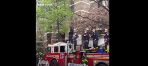Watch | Firefighter Performs National Anthem On Guitar For Healthcare Workers