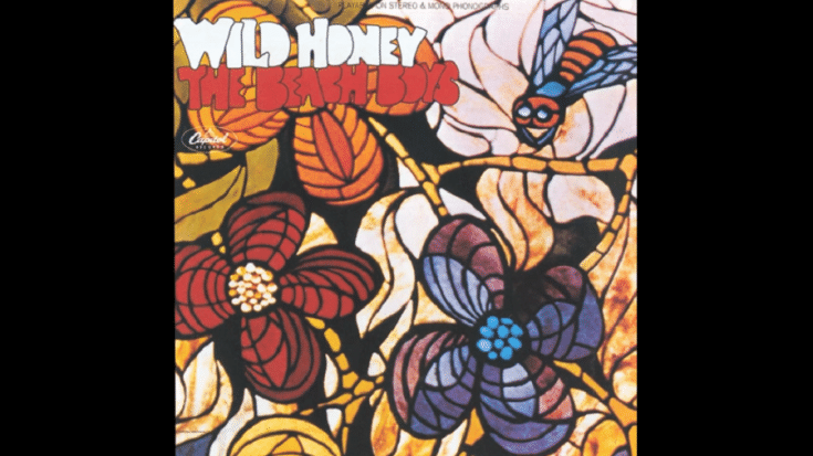 Album Review: “Wild Honey” By The Beach Boys | Society Of Rock Videos