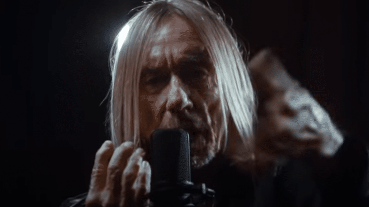 Iggy Pop Fights For Big Cat Species | Society Of Rock Videos