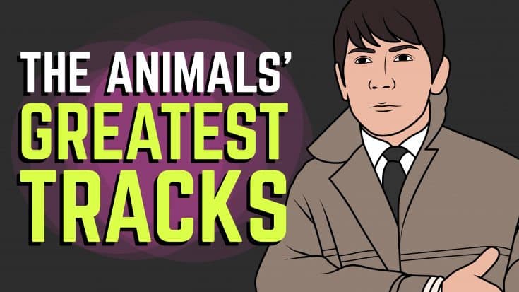 Track-By-Track Guide To The Music Of The Animals | Society Of Rock Videos