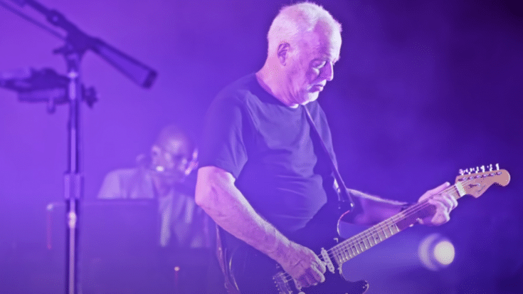 David Gilmour Debuts On TikTok | Society Of Rock Videos