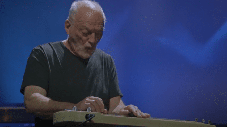 Watch David Gilmour’s Cover Of ‘Albatross’ By Fleetwood Mac