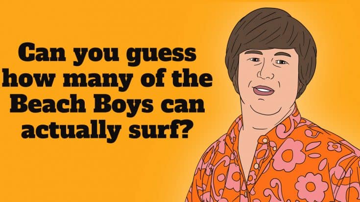 10 Interesting Facts About The Career Of The Beach Boys | Society Of Rock Videos