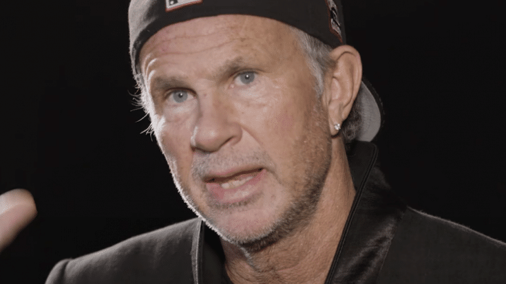 Chad Smith and Matt Cameron Apologizes To Foo Fighters | Society Of Rock Videos
