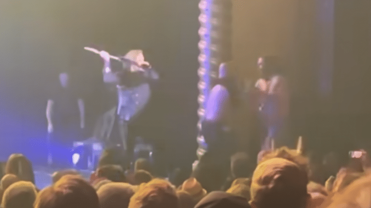 Black Crowes Smash Stage Invader In Recent Show | Society Of Rock Videos