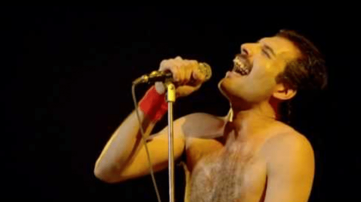 Why Was ‘Fat Bottomed Girls’ Excluded from the New Queen Compilation? | Society Of Rock Videos