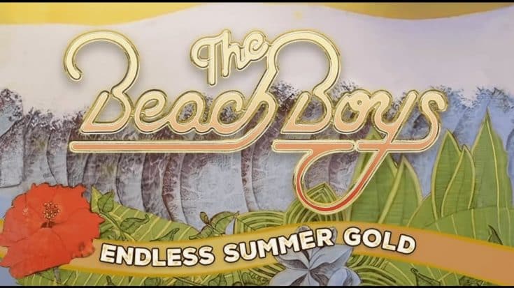 Beach Boys Announces 2024 “Endless Summer Gold” Tour | Society Of Rock Videos