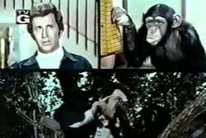 The Most Disliked 1970s TV Shows
