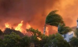 Celebrities and Musicians Lose Their Homes From LA Wildfires Catastrophe