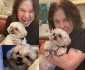 Ozzy’s Dog Stopped Eating After His Death — But What She Did Next Left Everyone in Tears
