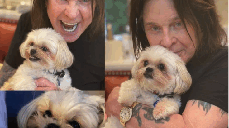 oZZY AND HIS DOG BELLA
