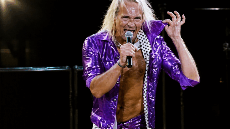 David Lee Roth performs wildly onstage in a shiny purple outfit while gripping the microphone.